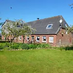 Nordseerex