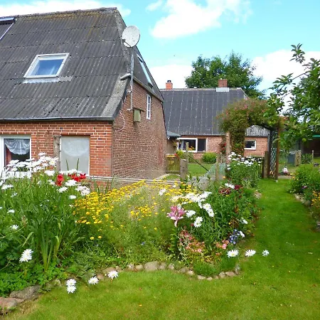 Nordseerex Ahrenshoft