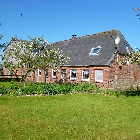 Nordseerex