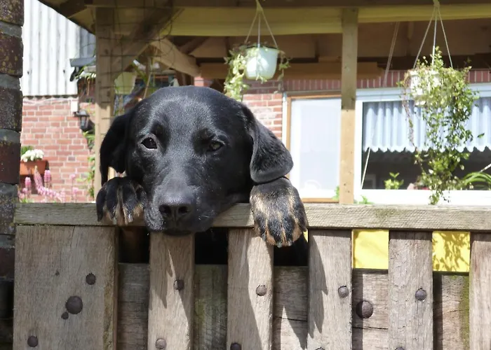 Διαμέρισμα Nordseerex Ahrenshoft